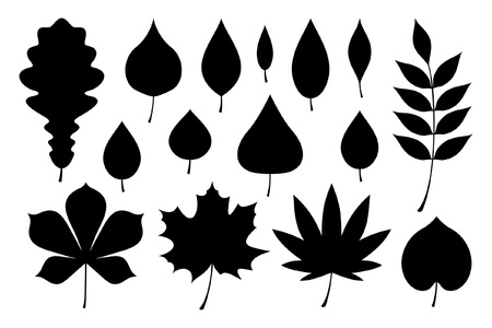 Set of black autumn leaves. flat style. isolated on white backgroundのイラスト素材