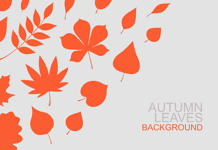 Background of red autumn leaves. flat style. isolated on gray backgroundのイラスト素材