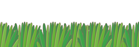 Green Grass Border. Seamless pattern. isolated on white backgroundのイラスト素材