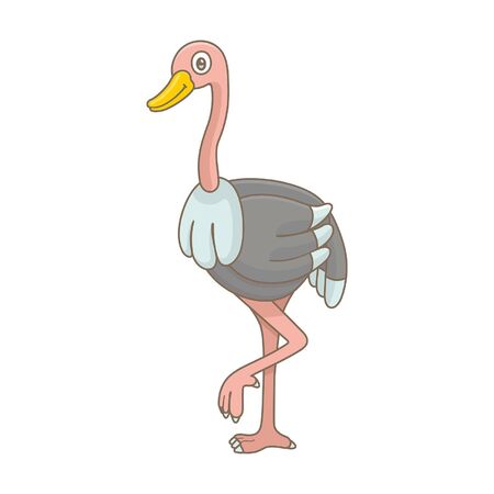 Ostrich. isolated on white backgroundのイラスト素材