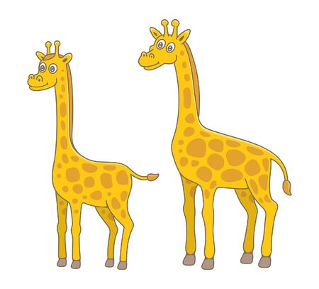 Set of Giraffes. isolated on white backgroundのイラスト素材