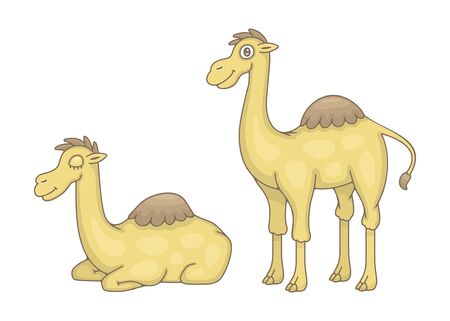 Set of Camels. isolated on white backgroundのイラスト素材