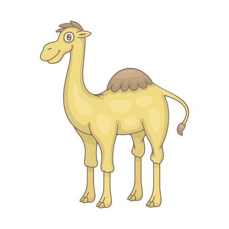 Camel. isolated on white backgroundのイラスト素材
