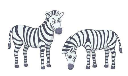 Set of Zebras. isolated on white backgroundのイラスト素材
