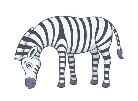 Zebra. isolated on white backgroundのイラスト素材