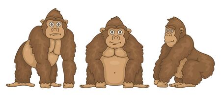 Set of Gorillas. isolated on white backgroundのイラスト素材