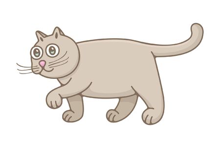 Cat. isolated on white backgroundのイラスト素材