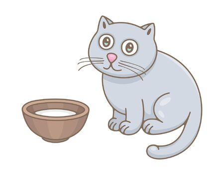 Cat. isolated on white backgroundのイラスト素材