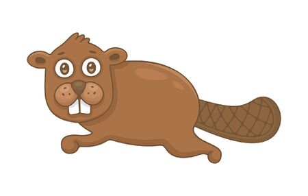 Beaver. isolated on white backgroundのイラスト素材
