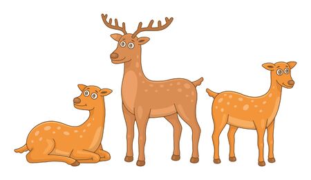 Set of Deers. isolated on white backgroundのイラスト素材