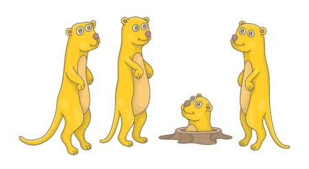 Set of Gophers. isolated on white backgroundのイラスト素材