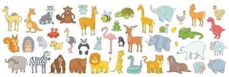 Set of different animals. isolated on white backgroundのイラスト素材