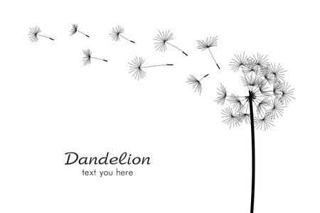 One dandelions blowing in the wind. isolated on white backgroundのイラスト素材