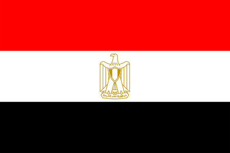 Flags of Egypt. Flat element design. National Flag. White isolated backgroundのイラスト素材
