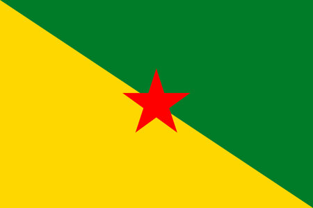 Flags of French Guiana. Flat element design. National Flag. White isolated backgroundのイラスト素材