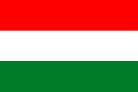 Flags of Hungary. Flat element design. National Flag. White isolated backgroundのイラスト素材