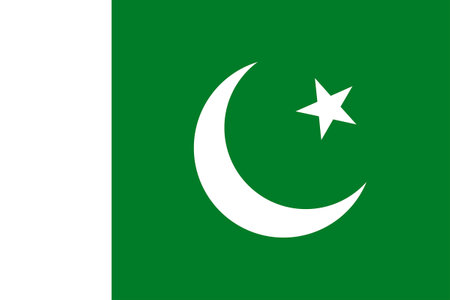Flags of Pakistan. Flat element design. National Flag. White isolated backgroundのイラスト素材