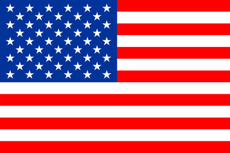 Flags of USA. Flat element design. National Flag. White isolated backgroundのイラスト素材