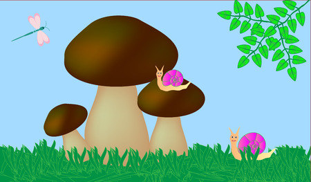 vector Three mushrooms and two snailsのイラスト素材