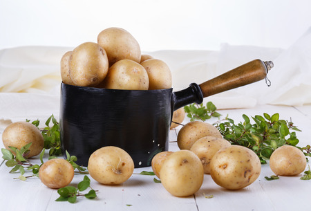 Fresh organic potatoes and thyme in a rustic vintage metal pot on a white wooden backgroundの写真素材