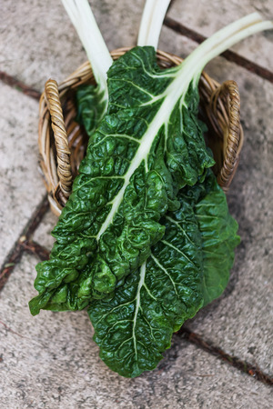 Organic silverbeet on a woven basket on natural background. Outdoor shoot, selective focusの写真素材