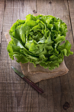 Single butter lettuce head on a burlap cloth over rustic wooden backgroundの写真素材