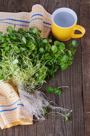 Bunch of organic watercress with roots on a rustic wooden background. Selective focusの写真素材