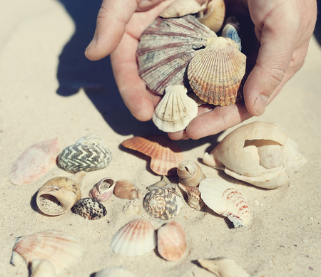 Instagram looking picture of male hands holding seashells over sand background. Soft focus, shallow DoFの写真素材