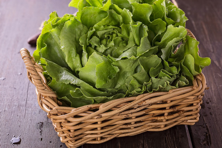 Single organic butter lettuce head over wooden rustic background close upの写真素材