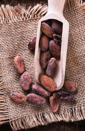 Raw cacao beans on a wooden scoop over burlap cloth background. Top view, close upの写真素材