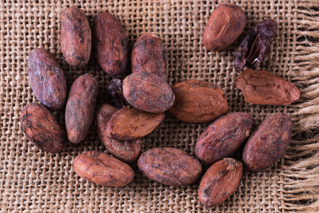 Raw cacao beans on a burlap cloth background. Top view, close upの写真素材