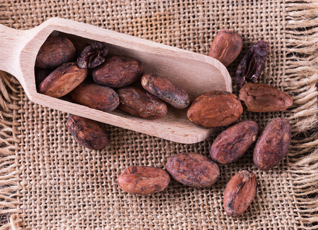Raw cacao beans on a wooden scoop over burlap cloth background. Top view, close upの写真素材