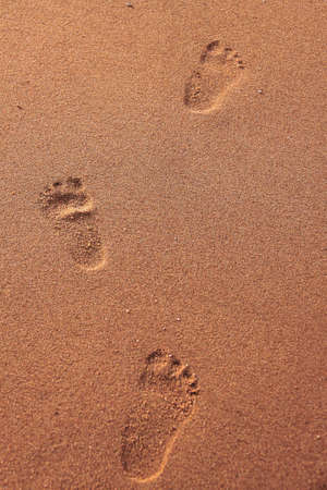 Footprint at beach is symbol of progressionの写真素材