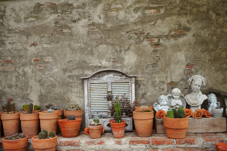 Cactus pots are placed on a bare red brick shelf beside a loft-style plaster wall.の写真素材