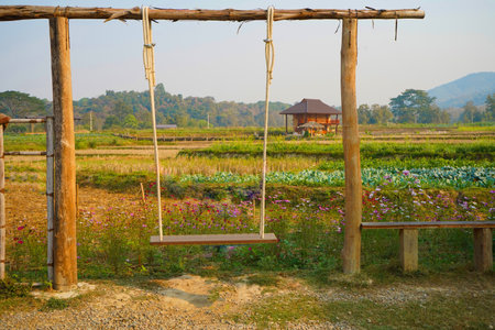 A wooden swing sits next to a flower garden and vegetable plot in a rice field.の写真素材