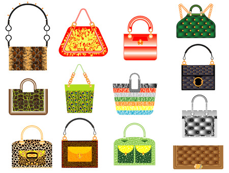 Leather handbags  Set of classic leather multicolored female bags on a white backgroundのイラスト素材