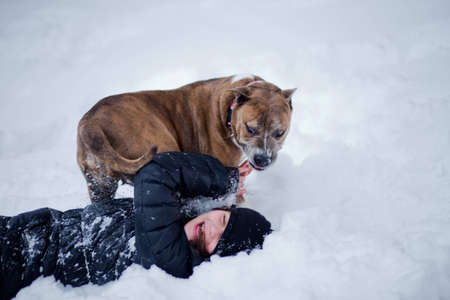 The dog attacked the child. An aggressive dog attacked the girl.の写真素材