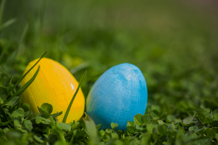 Yellow and white Easter eggs on the leaves of the clover. Easter background. Celebration of Easter in Ukraine.の写真素材