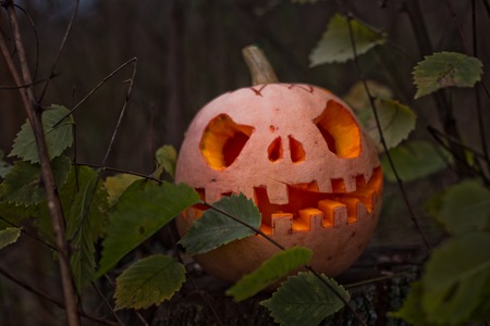 Pumpkin with carved eyes and mouth on the stump. Decor for Halloween. Scary forest.の写真素材