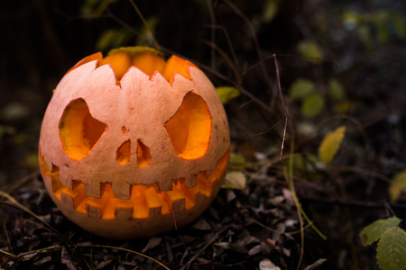Pumpkin with carved eyes and mouth on the stump. Decor for Halloween. Scary forest.の写真素材