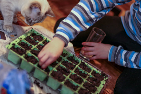 The boy plants plant seeds in disposable cups. Preparation of seedlings. Seeding in the spring.
