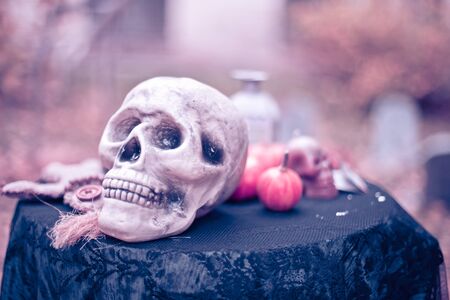 Big skull on a background of pumpkins. Halloween Scenery. Background for Halloween.の写真素材