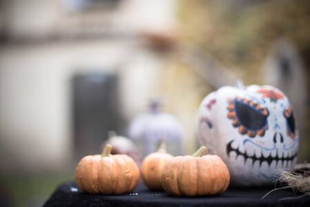 Pumpkins on background of painted pumpkin for day of dead and Halloween. Autumn backgroundの写真素材