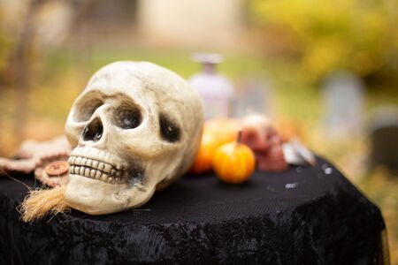 Big skull on a background of pumpkins. Halloween Scenery. Background for Halloween.の写真素材
