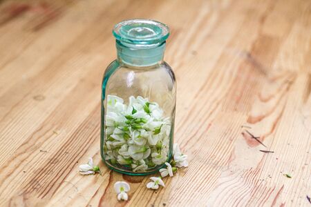 bunch of white flowers acacia near bottle of medicine. Collection of herbs in season. Branches of black locust, Robinia pseudoacacia, false acacia.の写真素材
