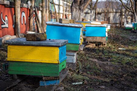 Beehives in garden among the trees in early winter. Garden trees without leaves. Preparing bees for wintering. Snowless winter on apiary. Wintering bees outdoorの写真素材