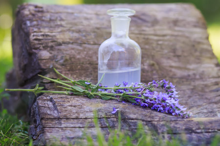 bouquet Salvia pratensis, meadow clary or meadow sage purple flowers near bottle of medicine on...