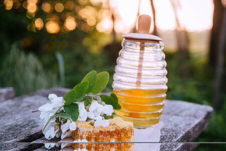 jar of acacia honey in background of sunset. piece of honeycomb lies on craft paper on wooden board. robinia honey with Flower acacia blossoms summer during flowering and honey harvestingの写真素材
