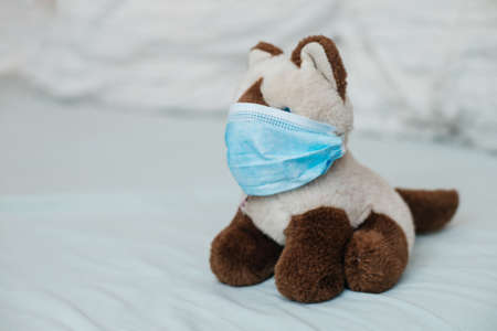 Cat Siamese with medical masks on bed. Sicker disease in children. Coronovirus, quarantine, epidemic, pandemic, cold,illness. Medicine concept and health.の写真素材