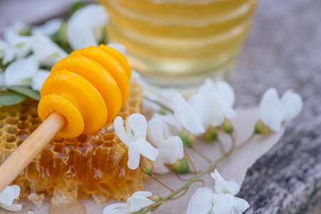 Honey in jar with acacia flowers on rustic wooden background. Golden, fresh.の写真素材